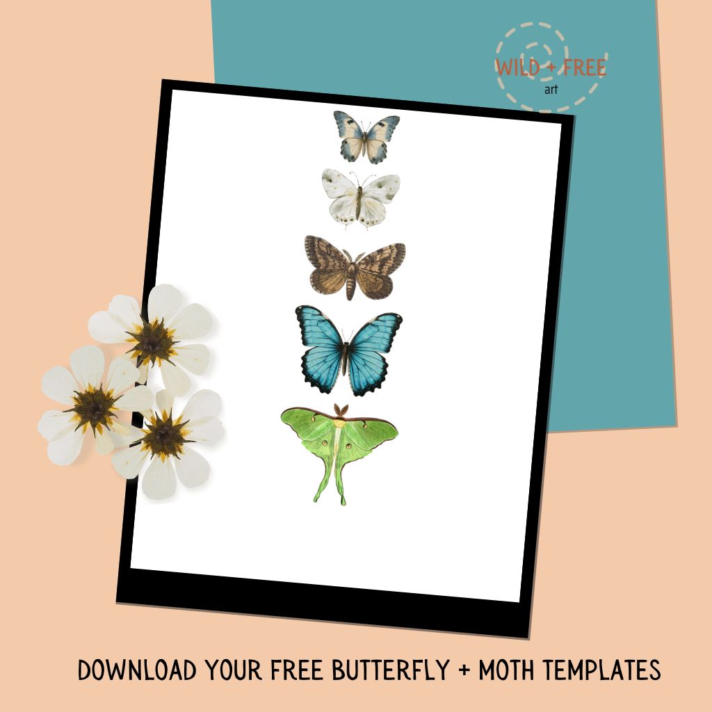 butterfly_free_printable